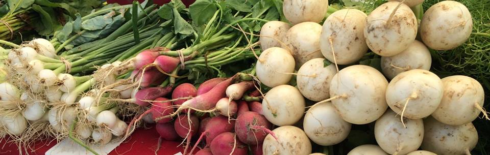 Onions, radishes, and turnips from Butter Hill Farm Lawrenceville Farmers Market/ Facebook