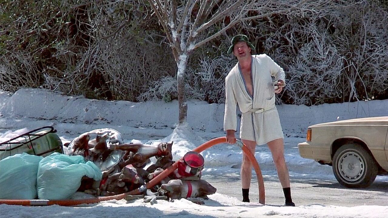 christmas vacation cousin eddie wife